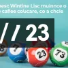 分析7/23大樂透中獎策略：如何提升你的中獎機會
