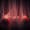 揭秘六合彩開獎號碼的神秘面紗