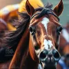 精解跑馬仔計法：如何有效預測馬匹表現